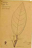  no thumbnail available