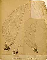  no thumbnail available