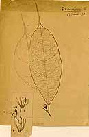  no thumbnail available