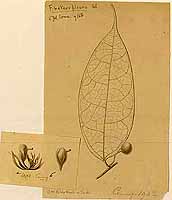  no thumbnail available