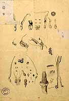  no thumbnail available