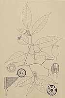  no thumbnail available