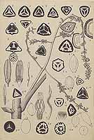  no thumbnail available