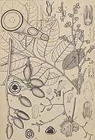  no thumbnail available