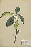  no thumbnail available