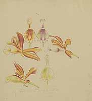  no thumbnail available