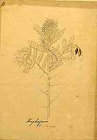  no thumbnail available