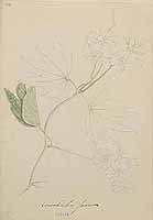  no thumbnail available