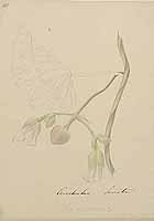  no thumbnail available