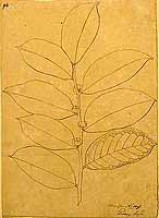  no thumbnail available