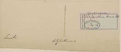  no thumbnail available