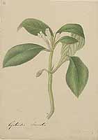  no thumbnail available