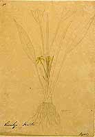  no thumbnail available