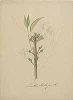  no thumbnail available