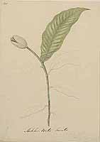  no thumbnail available