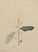  no thumbnail available