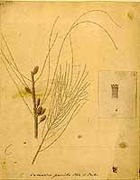  no thumbnail available