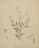  no thumbnail available