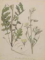  no thumbnail available