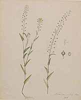  no thumbnail available