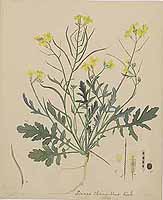  no thumbnail available