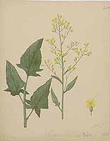  no thumbnail available