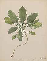  no thumbnail available