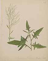  no thumbnail available