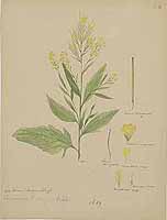  no thumbnail available