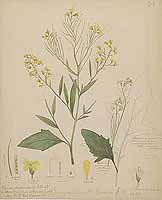  no thumbnail available