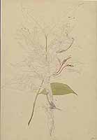  no thumbnail available