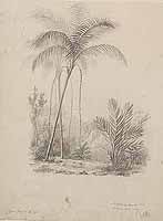  no thumbnail available