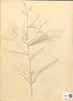  no thumbnail available