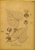  no thumbnail available