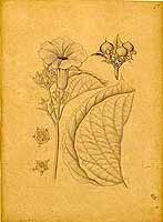  no thumbnail available