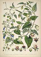  no thumbnail available