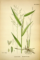  no thumbnail available