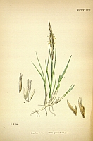  no thumbnail available