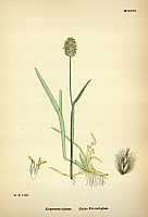  no thumbnail available