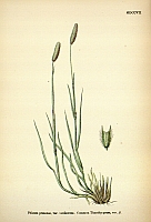  no thumbnail available