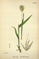  no thumbnail available