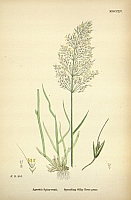  no thumbnail available