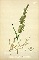  no thumbnail available