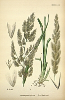  no thumbnail available