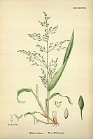  no thumbnail available