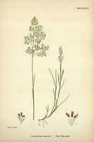  no thumbnail available