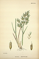  no thumbnail available