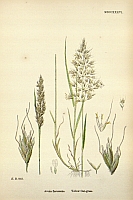  no thumbnail available