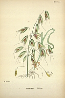  no thumbnail available