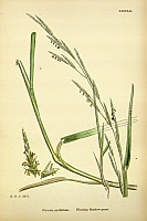  no thumbnail available